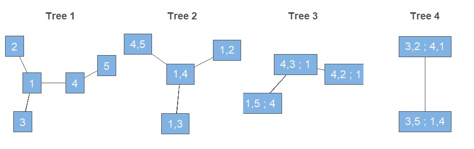 Possible 5-dimensional R-vine tree structure